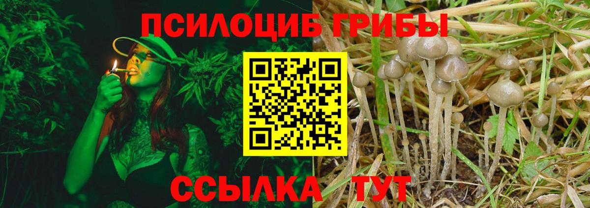 Артёмовский  хочу   Вход с VPN  Галлюциногенные грибы прущие грибы 